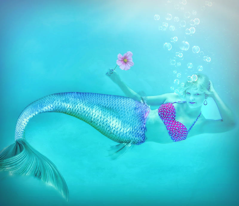 marine, nature, young women, outdoors, leisure activity, 4K, lifestyles, young adult, flower, fish, bubble, swimming pool, water, tropical, one person