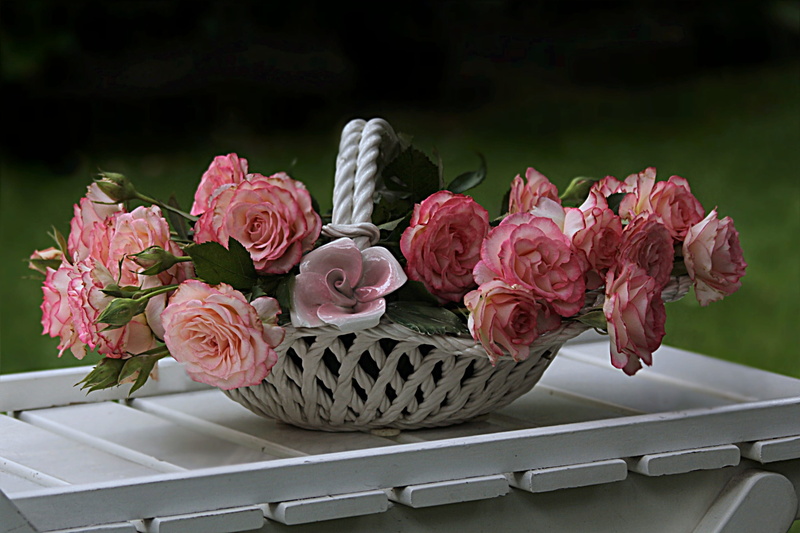 indoors, pink Color, purple, purple flower, flowers, wicker basket, wicker, red, domestic life, flowering plant, shell, flower, positive emotion, summer