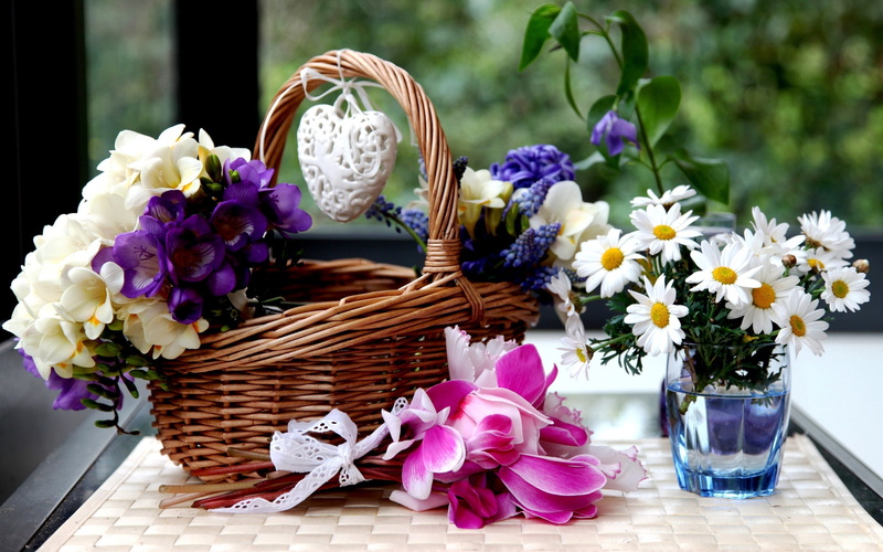 Flowers, Hyacinths, purple, Basket, brown, Colorful, bouquet, Chamomile, flower, vase, wicker, Cyclamen, sia, freesia, glass, daisy, white, clear, 2K