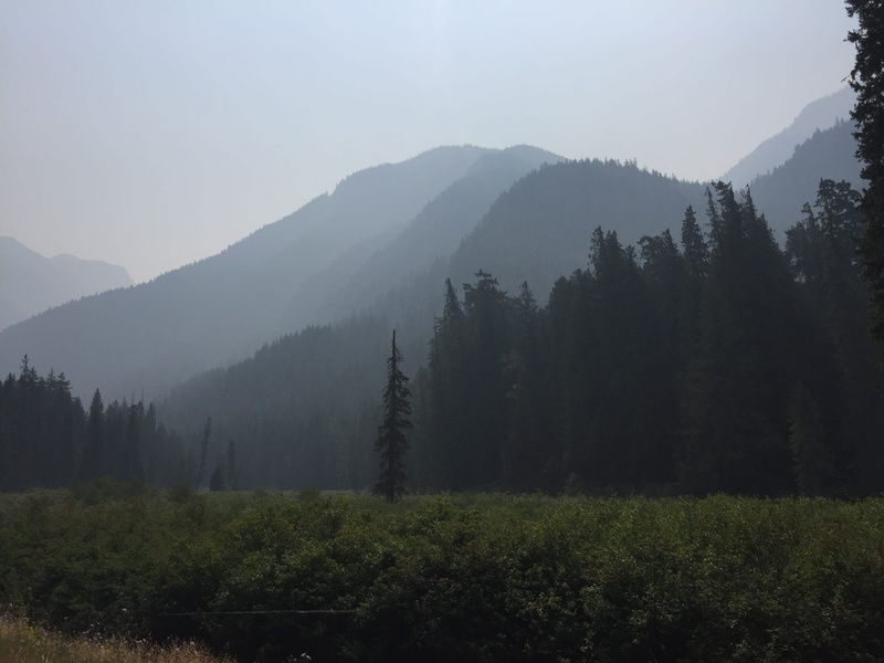 environment, growth, nature, tranquil scene, tranquility, mountain range, fog, canada, sky, idyllic, outdoors, beauty in nature, non-urban scene, scenics - nature