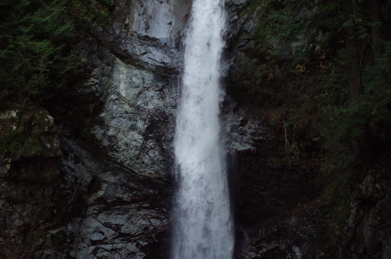 bush, canada, landscape, woodland, fraser valley, nature, beauty in nature, waterfalls, cascade falls, flowing water, waterfall, vegetation, trees, long exposure