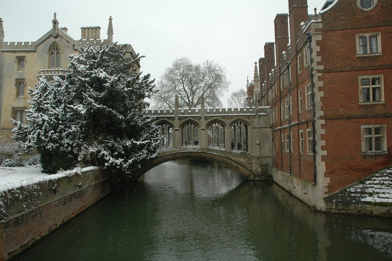 architecture, water, canal, plant, building, 2K, day, arch bridge, bridge - man made structure, connection, built structure, tree, sky, nature, winter