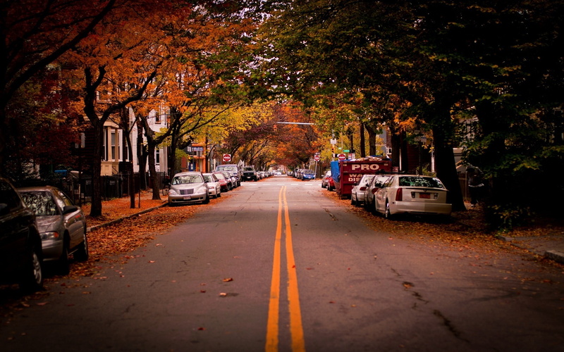 motor vehicle, color Image, road, treelined, plant, diminishing perspective, change, architecture, building Exterior, transportation, urban Scene, cambridge