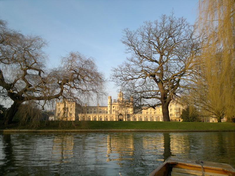 reflection, english, day, prestigious, branch, college, building exterior, built structure, england, nature, tree, history, historic, uk, building, bare tree