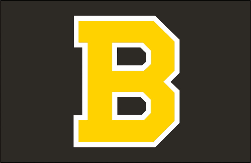 Boston Bruins, 1080P, Hockey