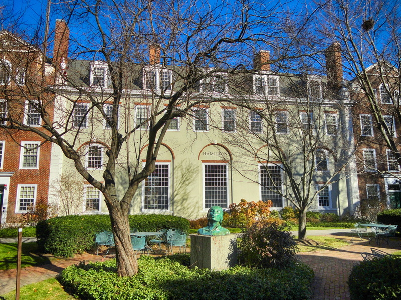 day, daytime, harvard, brown, architecture, boston massachusetts, trees, house, window, buildings, city, white, concrete, growth, built structure, clear sky