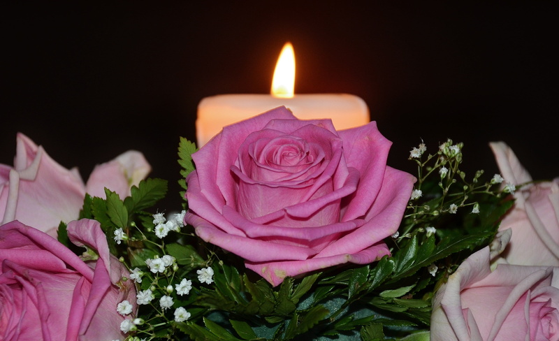rose - Flower, white, plant, flame, candles, fire - natural phenomenon, macro, event, romance, black background, 4K, light, flower arrangement, rose, pink