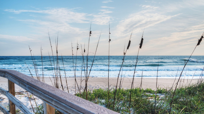 florida beach, grass, sand dunes, beach, sky, 4K, florida, sandy, usa, united states, seashore