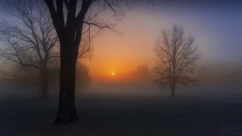 sunset, px, plant, tree, tranquil scene, scenics - nature, idyllic, nature, orange color, landscape, land, art, hd, hazy, sky, fog, beauty in nature, sun