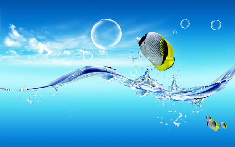 world, dreamy, 1080P, fish