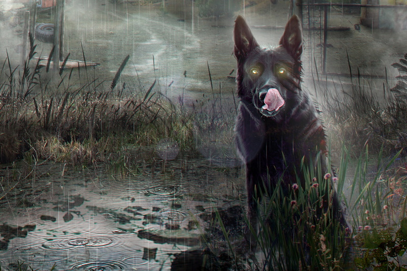 1080P, Stalker, Arina Zhanzhora, Dog, A dog, by Arina Zhanzhora, Pripyat, Chernobyl, The game, Rain, Art