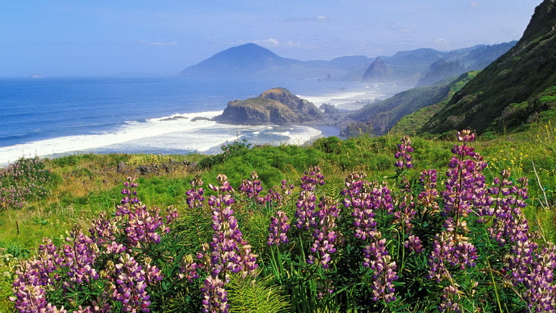 x, Landscape, art, hd, windows, technology, 1920x1080 px, coast, cliff, Flowers, px, mountains, 1080P, sea