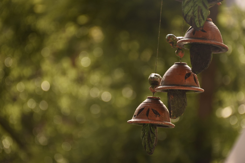 green, india, close-up, food and drink, plant, growth, bird feeder, food, hanging, nature, himachal, 5K, bird, animal themes, no people, animal wildlife