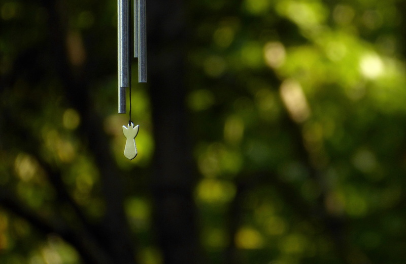 growth, selective focus, water, angel, vulnerability, dew, nature, 2K, environment, coniferous tree, wind, tree, chime, garden, music, metal, close-up