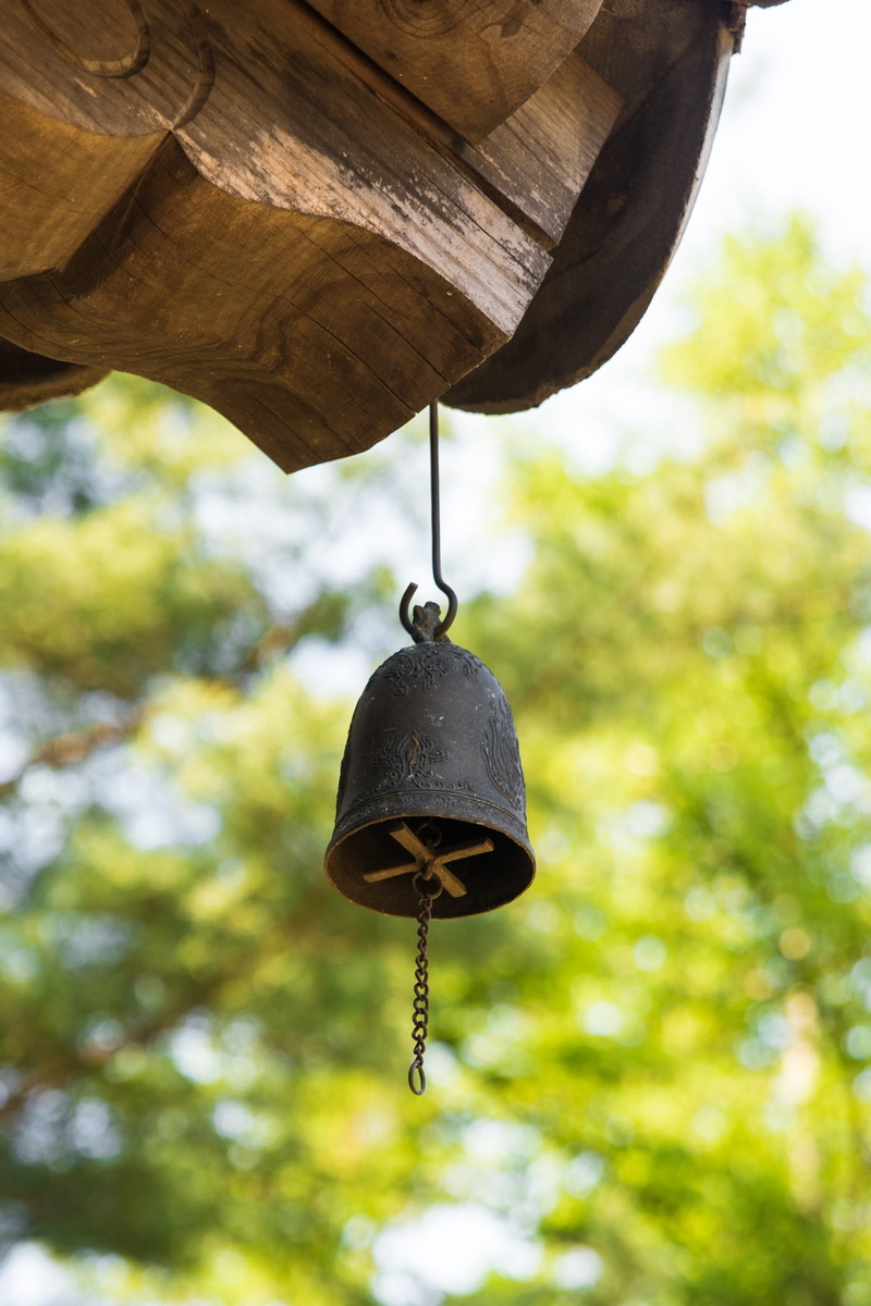 plant, wood - material, asian, lighting equipment, nature, green color, low angle view, hanging, korean, bell, traditional, temple, outdoors, wood, close-up
