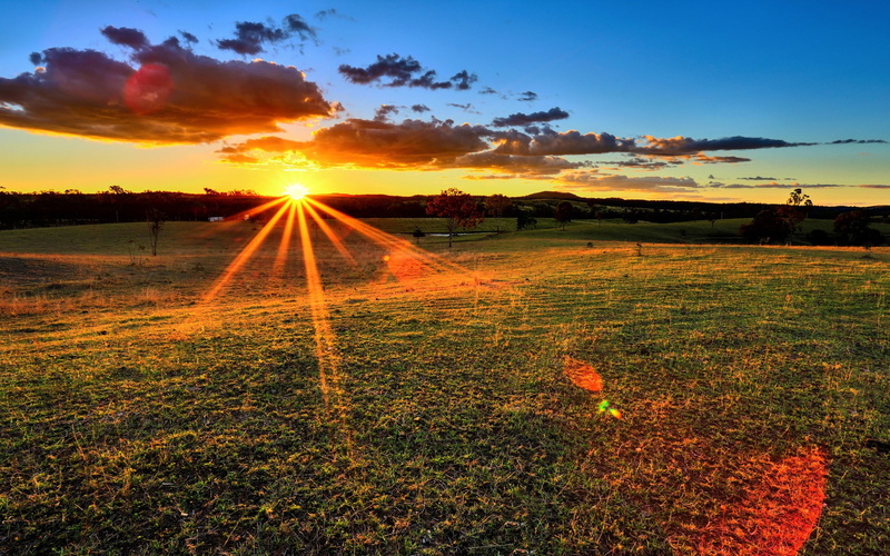 tranquility, field, land, sunset, 1080P, plantation, scenics - nature, nature, no people, grass, plant, sun, sky, beauty in nature, landscape, agriculture
