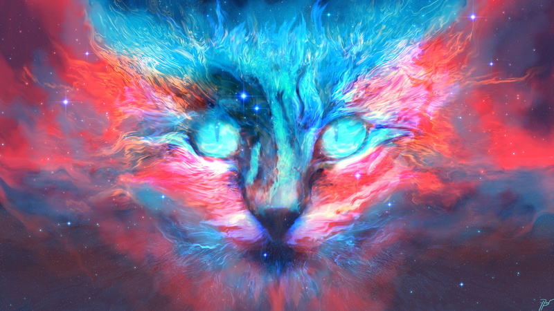 cats, space art, JoeyJazz, animals, 2K