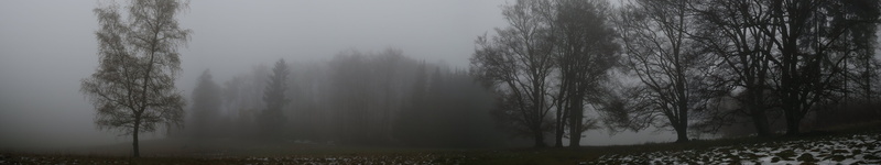 5K, multi, mist, multiple, triple, arbres, screen, monitor, brume, trees