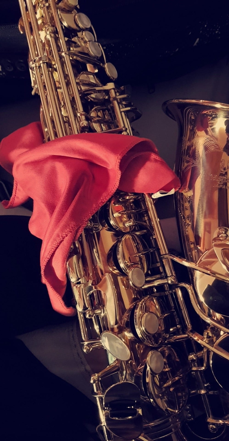 nature, yanagisawa, red, music, musical instrument, saxophone, illuminated, metal, brass instrument, reflection, alcohol, glass, saxophone detail, night