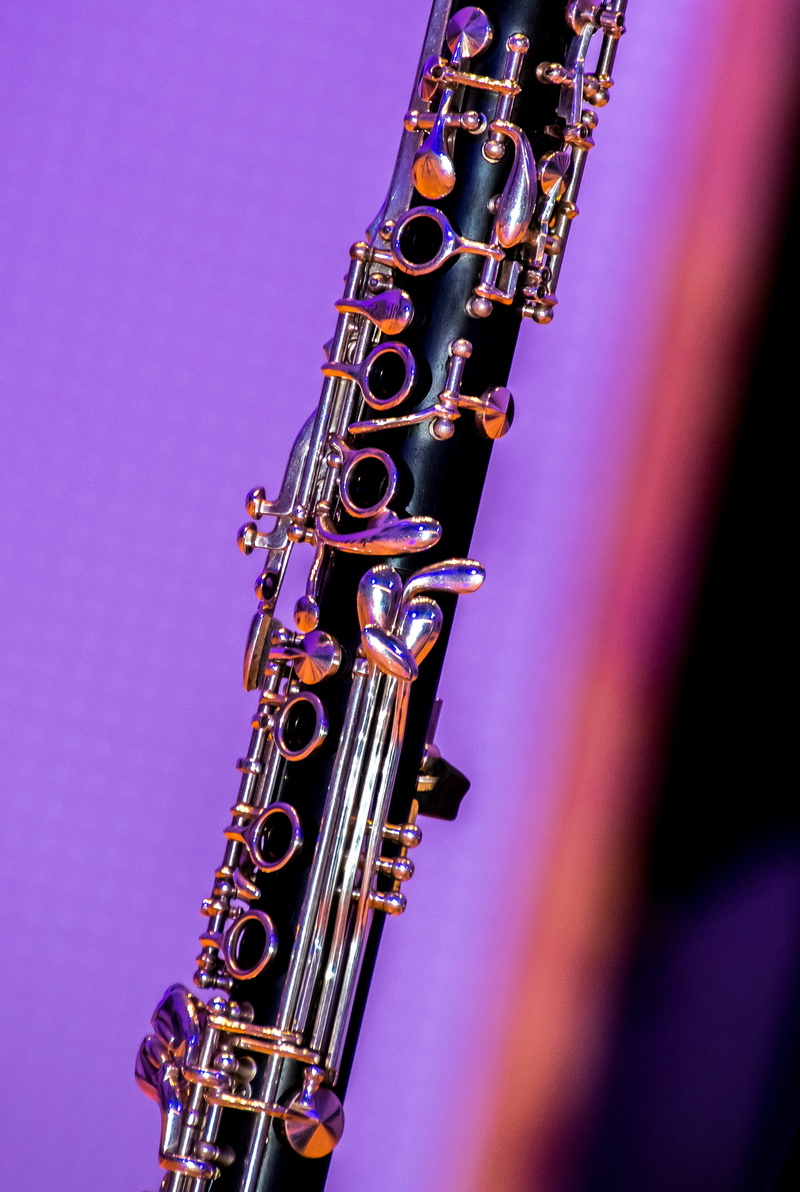 classic, wind, band, metal, jazz, low angle view, musical instrument, sky, musician, day, wind instrument, woods, still life, musical, close-up, saxophone