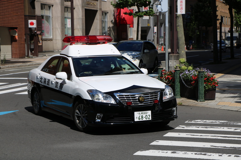 built structure, city life, tea, flower, mode of transportation, patrol, japan, day, road, city, transportation, shadow, building, motor vehicle, street