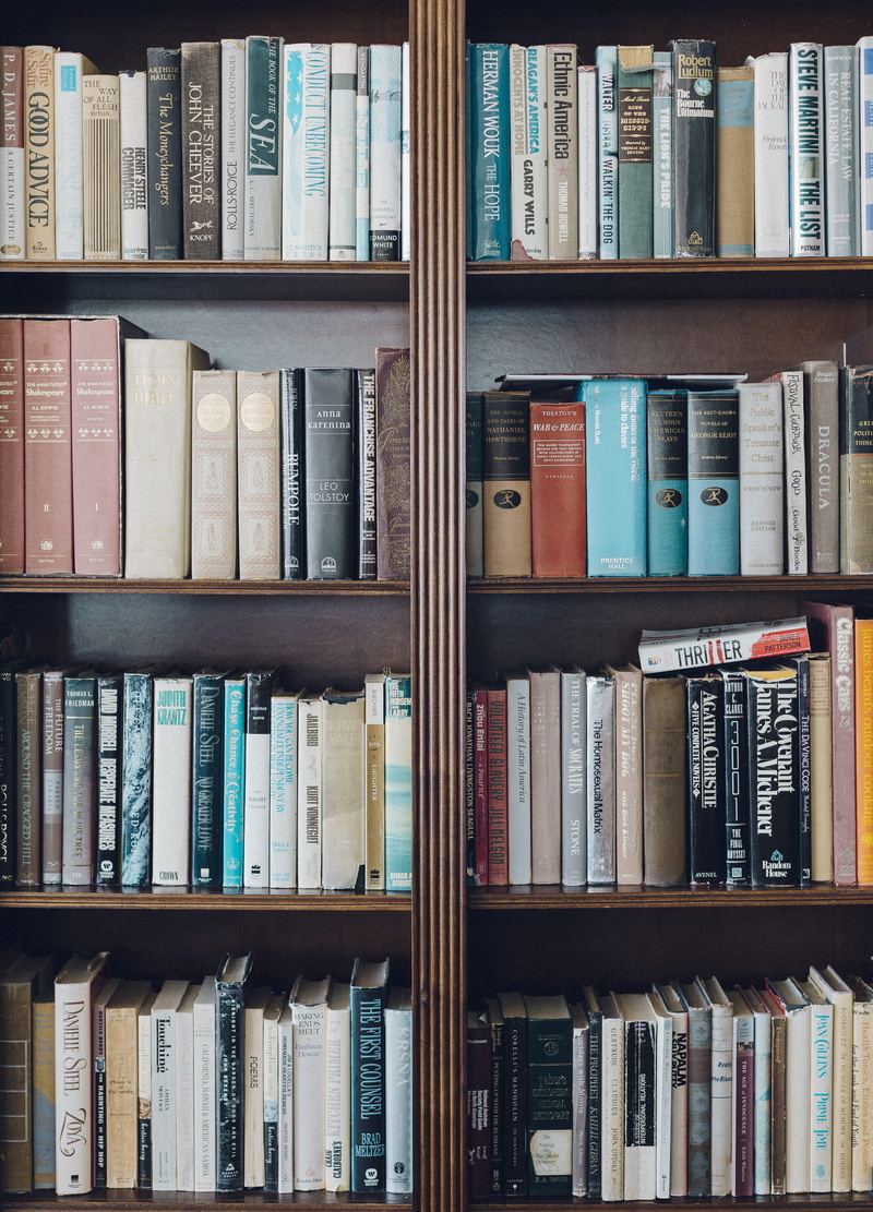 intelligence, abundance, still life, bookcase, textbook, bookshelf, indoors, food for the brain, literature, order, assorted, collection, education, side by side
