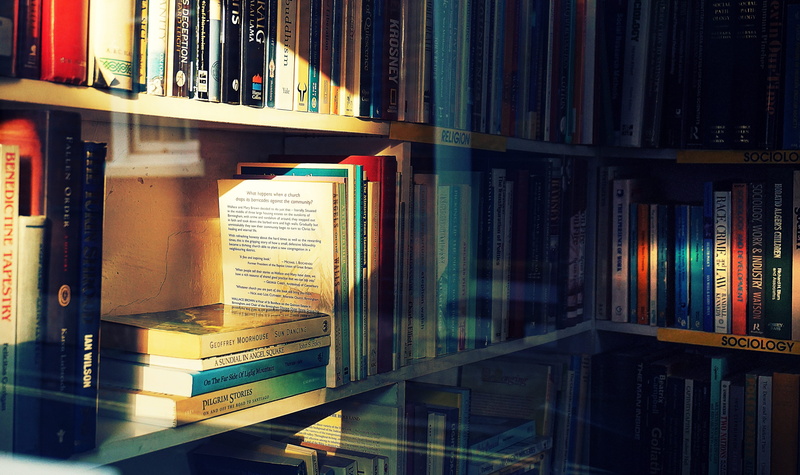 wisdom, shelf, stack, publication, choice, bookshelf, textbook, expertise, arrangement, still life, bookshelves, large group of objects, no people, order