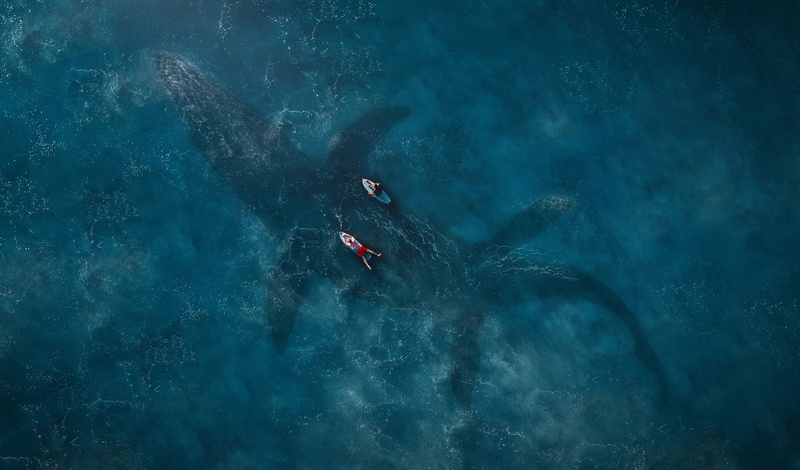 HD, Mosasaurus, Jurassic World: Fallen Kingdom, 2K