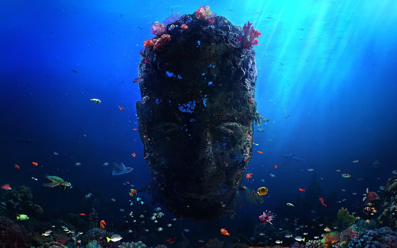 face, turtle, artwork, fantasy art, underwater, sunlight, coral, Desktopography, 1080P, sun rays, storm, fish, digital art, sea