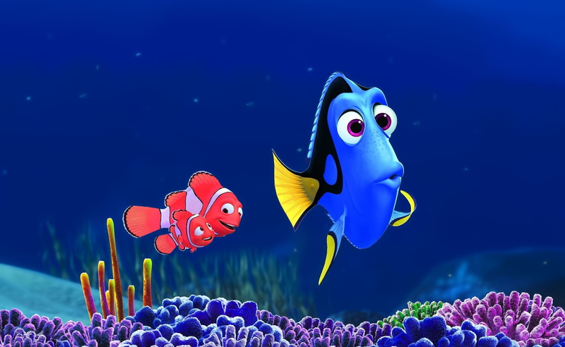 disney, coral, Cartoons, clown, animals in the wild, Finding Dory, fish, 2K, no people, Others, animal themes, tropical fish, Dory, invertebrate, hd, vertebrate
