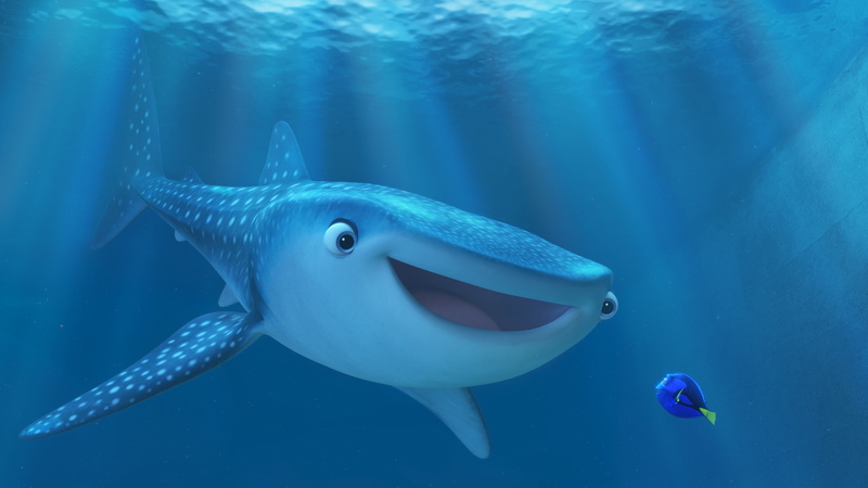 Pixar, shark, animation, Finding Dory, nemo, sperm, dory, finding, fish, scene, movie, 4K, whale