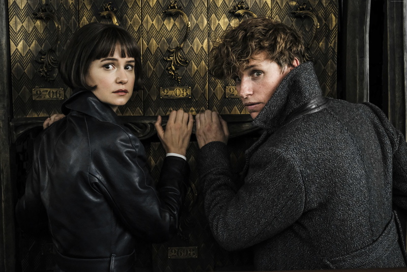 5K, 5K, Fantastic Beasts: The Crimes of Grindelwald, Katherine Waterston, Eddie Redmayne