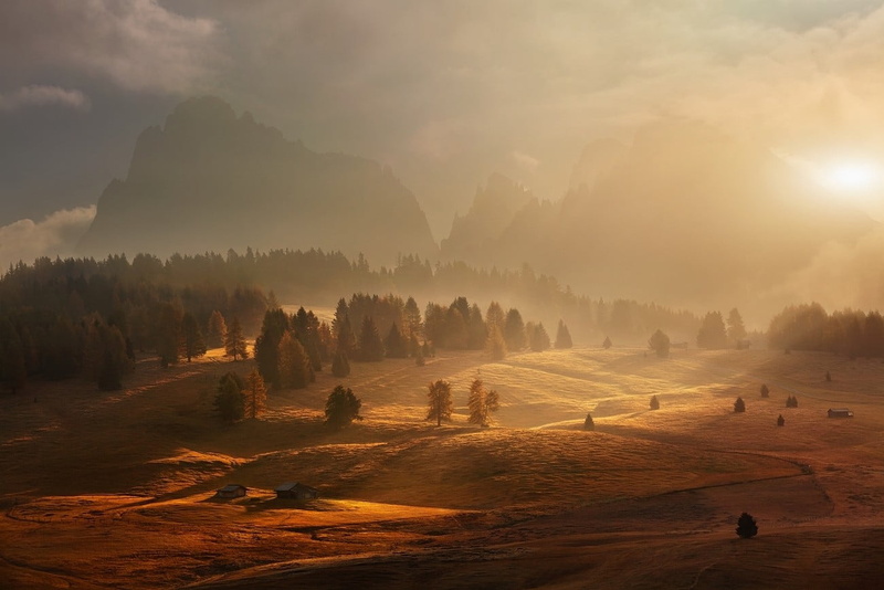 tranquil scene, tree, tranquility, grass, land, nature, outdoors, trees, clouds, sunlight, cabin, forest, idyllic, scenics - nature, fog, non-urban scene