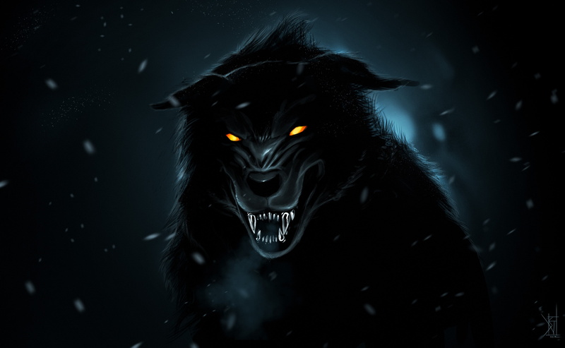 wolf, orange eyes, 4K