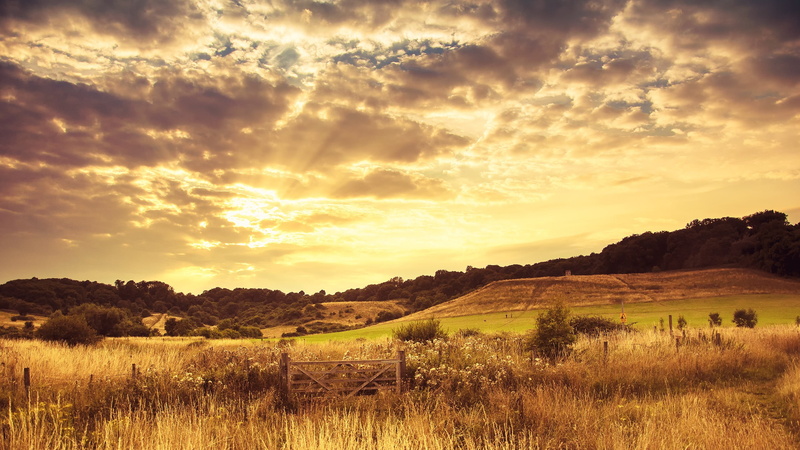 dawn, cloud - Sky, plant, tree, season, light - Natural Phenomenon, brown, cloudscape, land, rural Scene, sunlight, tranquil Scene, grass, field, green Color