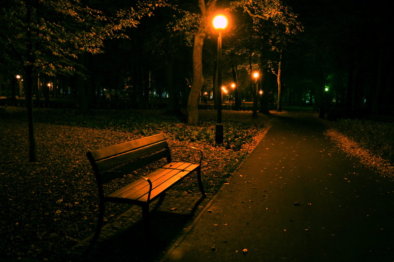 architecture, empty, 4K, dark, nature, tree, lantern, street light, plant, outdoors, no people, bench, illuminated, absence, light, park - man made space