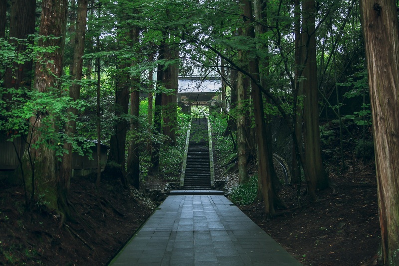 architecture, direction, park, the way forward, beauty in nature, day, natural, built structure, green color, nature, temple, trunk, land, tree trunk, plant