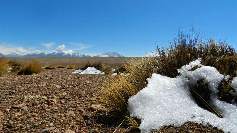 4K, altitude, tranquility, tranquil scene, salar, desierto, sky, pasto, blue, sand, desert, plant, salvador dalí desert, arena, winter, solid, mountains