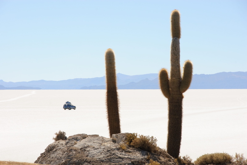 rock, day, cacti, desert, remote, scenics - nature, cactus, 4K, sky, clear sky, arid climate, non-urban scene, beauty in nature, environment, road trip