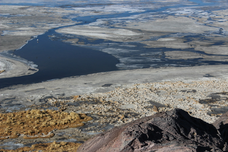 nature, non-urban scene, geology, high angle view, day, rock, tranquility, environment, rock - object, water, scenics - nature, 5K, salt, outdoors, landscape