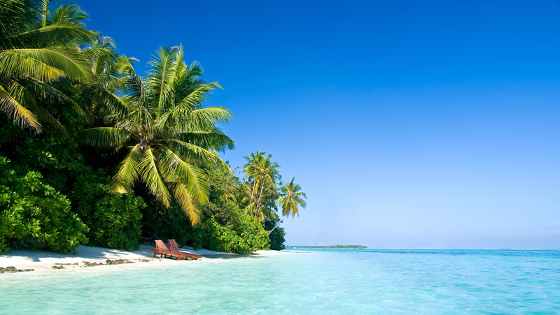 plant, landscape, tropical Climate, seascape, 4K, wave, coconut Palm Tree, exoticism, sun, nature, coastline, island, luxury, clear sky, waterfront, tranquility
