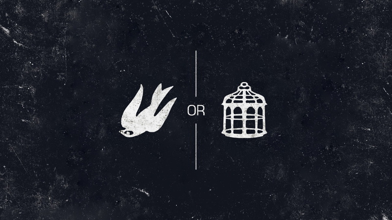 video games, BioShock Infinite, business, BioShock, blackboard, birds, minimalism, human representation, dove, illustration, art and craft, arts, grunge