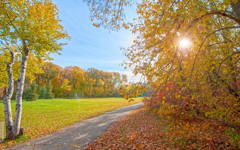 Path, Rays, Sun, Park, Autumn, Trees, 2K
