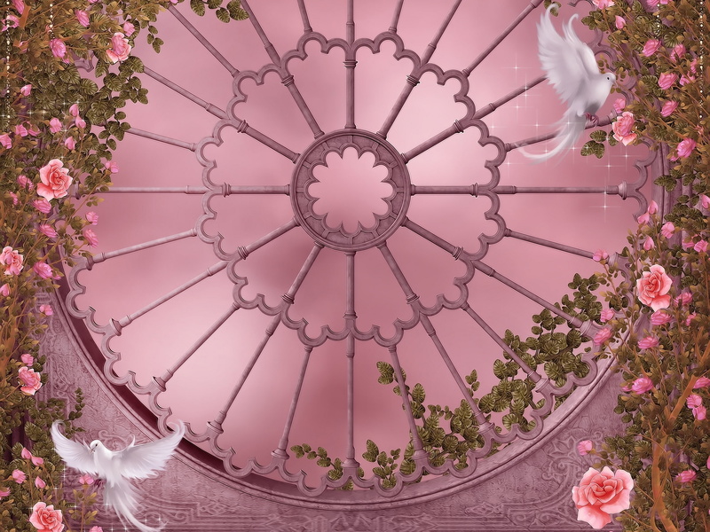 architecture, pigeons, flower, flower head, growth, nature, plant, flowering plant, pink color, two, pigeon, pattern, no people, built structure, window