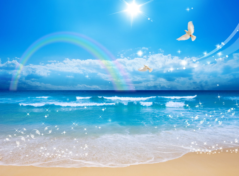 white, island, travel Destinations, sun, sunny, white doves, the sun, motion, 2K, seascape, birds, scenics, aquatic sport, clouds, land, ocean, cloud - Sky
