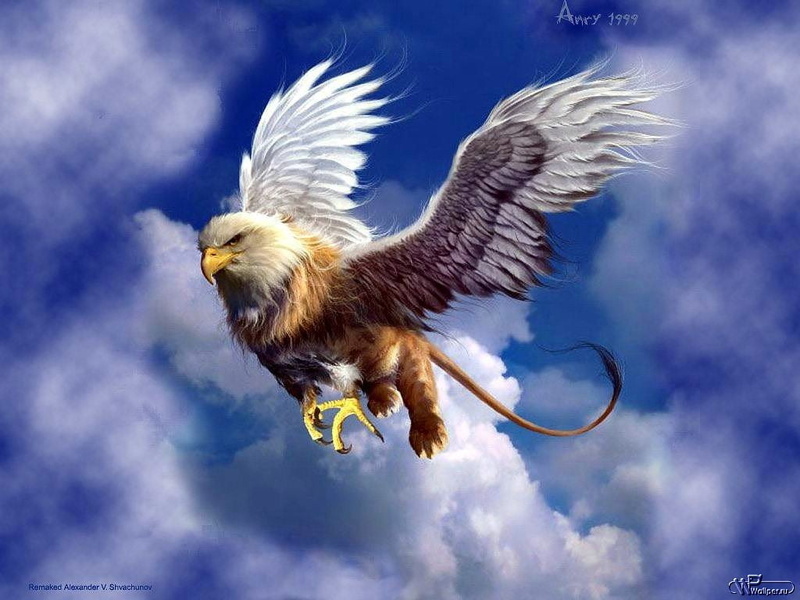 bird, animal wildlife, 480P, brown, falcon - bird, outdoors, cloud - sky, blue, animal body part, aggression, creature, no people, one animal, fantasy art
