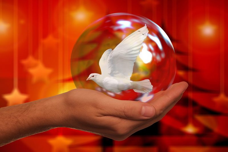 war, ball, bokeh, fragile, protection, human body part, focus on foreground, human hand, hand, protect, 4K, mystery, world peace, dove, symbol, christmas