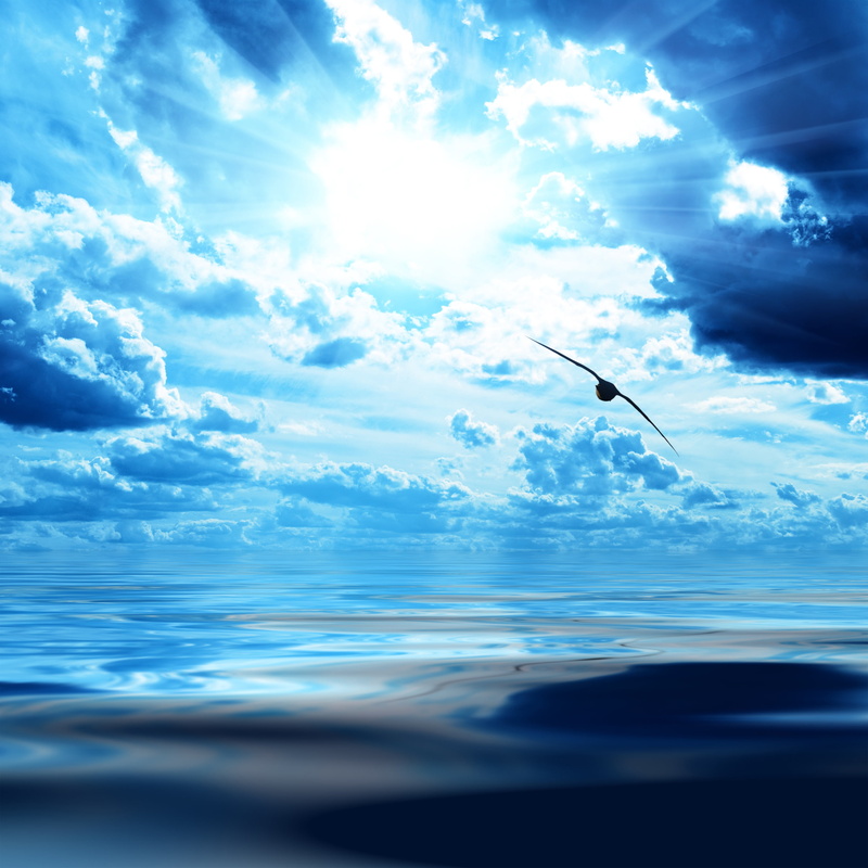  air, travel, surface, beach, reflection, no People, sun, cloud - Sky, scenics, vertebrate, flight, landscape, horizon Over Water, dark blue