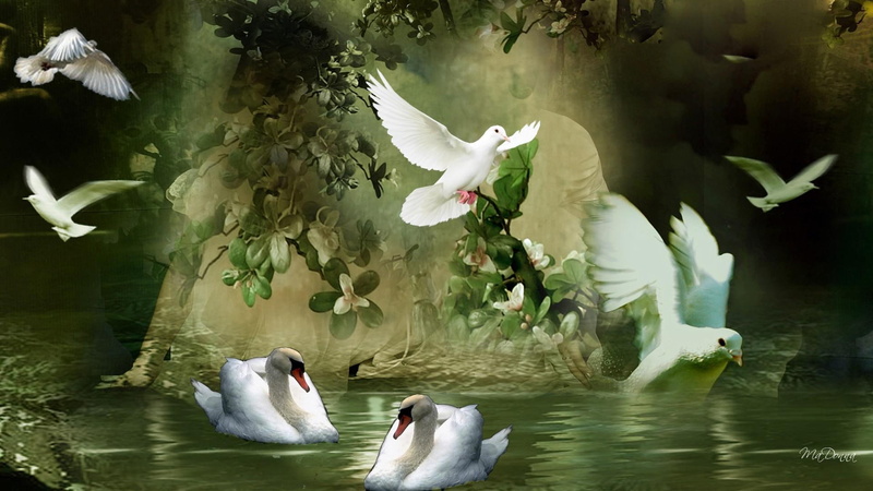peace, waters, swim, love, swans, doves, animals, water, flowers, 1080P, vines, green, white, couple, peaceful, birds, fantasy