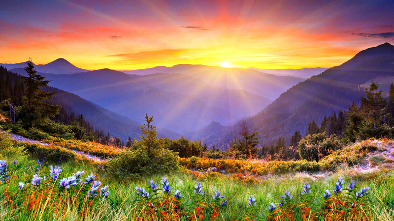 mountains, rays, forested, sun, 2K, hd, mountain, desktop, sunset, grass, phones, mobile, flowers, green, laptops, beautiful, awesome